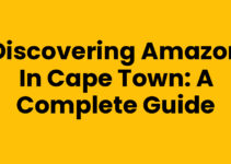 Discovering Amazon In Cape Town: A Complete Guide