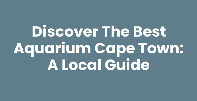 Aquarium Cape Town showcasing vibrant marine life and exhibits.