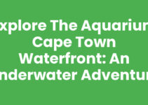 Explore the Aquarium Cape Town Waterfront: An Underwater Adventure
