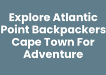 Explore Atlantic Point Backpackers Cape Town for Adventure