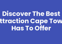 Discover the Best Attraction Cape Town Has to Offer