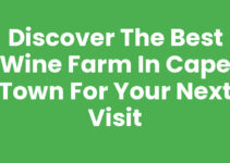 Discover the Best Wine Farm In Cape Town for Your Next Visit