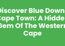 Discover Blue Downs Cape Town: A Hidden Gem of the Western Cape