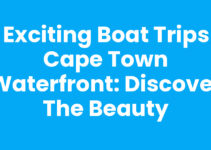 Exciting Boat Trips Cape Town Waterfront: Discover the Beauty