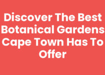 Discover the Best Botanical Gardens Cape Town Has to Offer