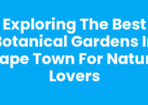 Exploring the Best Botanical Gardens In Cape Town for Nature Lovers