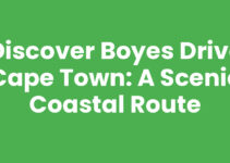 Discover Boyes Drive Cape Town: A Scenic Coastal Route