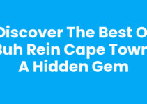 Discover the Best of Buh Rein Cape Town: A Hidden Gem