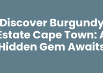 Discover Burgundy Estate Cape Town: A Hidden Gem Awaits