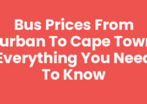 Bus Prices From Durban To Cape Town: Everything You Need to Know
