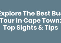 Explore the Best Bus Tour In Cape Town: Top Sights & Tips