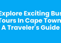 Explore Exciting Bus Tours In Cape Town: A Traveler’s Guide