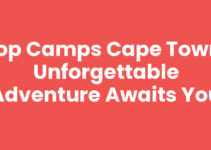 Top Camps Cape Town: Unforgettable Adventure Awaits You