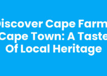 Discover Cape Farms Cape Town: A Taste of Local Heritage
