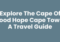 Explore the Cape Of Good Hope Cape Town: A Travel Guide