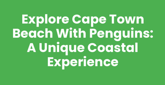 Cape Town Beach With Penguins enjoying their coastal habitat