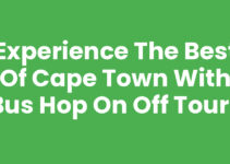 Experience the Best of Cape Town with Bus Hop On Off Tours
