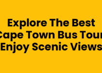 Explore the Best Cape Town Bus Tour: Enjoy Scenic Views
