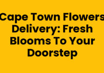 Cape Town Flowers Delivery: Fresh Blooms to Your Doorstep