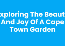 Exploring the Beauty and Joy of a Cape Town Garden