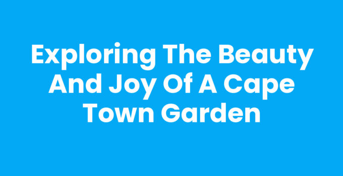 A vibrant Cape Town garden showcasing indigenous plants and flowers.