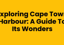 Exploring Cape Town Harbour: A Guide to Its Wonders