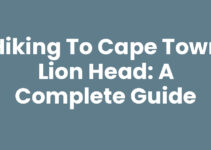 Hiking to Cape Town Lion Head: A Complete Guide
