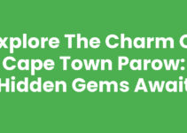 Explore the Charm of Cape Town Parow: Hidden Gems Await