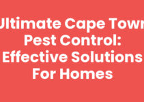 Ultimate Cape Town Pest Control: Effective Solutions for Homes