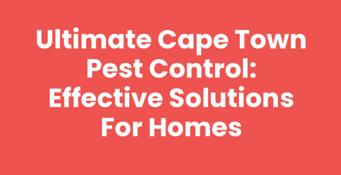 Cape Town Pest Control methods and solutions for pest-free homes
