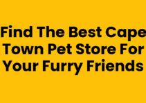Find the Best Cape Town Pet Store for Your Furry Friends