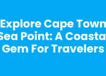 Explore Cape Town Sea Point: A Coastal Gem for Travelers