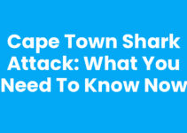 Cape Town Shark Attack: What You Need to Know Now