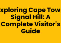 Exploring Cape Town Signal Hill: A Complete Visitor’s Guide