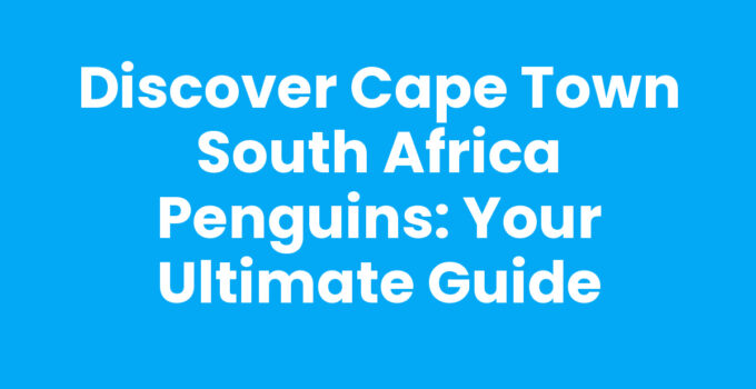 Cape Town South Africa Penguins at Boulders Beach