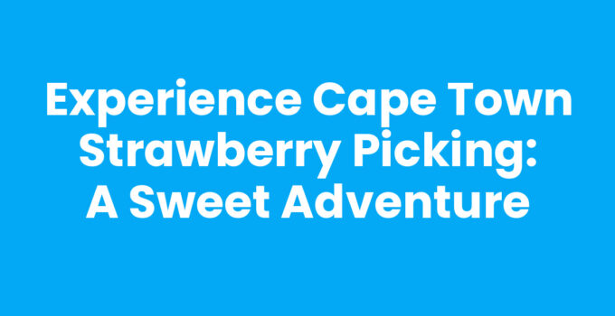 Cape Town Strawberry Picking at a vibrant farm
