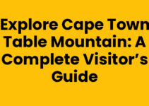 Explore Cape Town Table Mountain: A Complete Visitor’s Guide