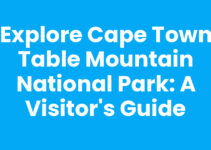Explore Cape Town Table Mountain National Park: A Visitor’s Guide