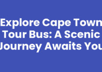 Explore Cape Town Tour Bus: A Scenic Journey Awaits You