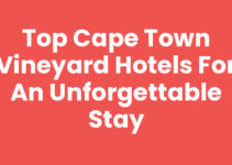 Top Cape Town Vineyard Hotels for an Unforgettable Stay