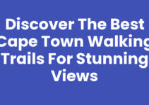 Discover the Best Cape Town Walking Trails for Stunning Views