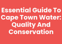 Essential Guide to Cape Town Water: Quality and Conservation
