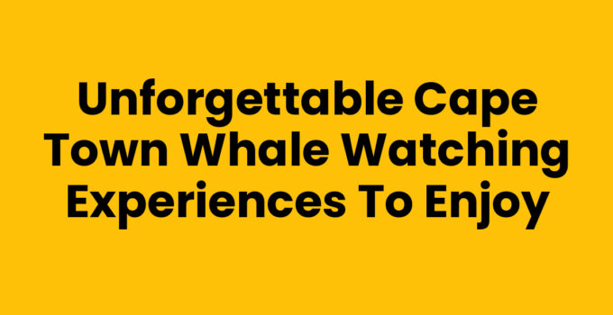 Unforgettable Cape Town Whale Watching Experiences to Enjoy