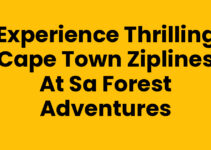 Experience Thrilling Cape Town Ziplines at SA Forest Adventures