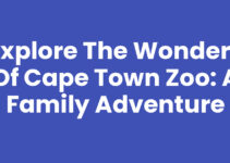 Explore the Wonders of Cape Town Zoo: A Family Adventure