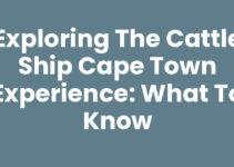 Exploring the Cattle Ship Cape Town Experience: What to Know