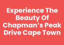Experience the Beauty of Chapman’s Peak Drive Cape Town
