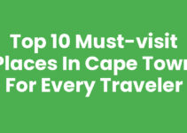 Top 10 Must-Visit Places In Cape Town for Every Traveler