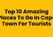 Top 10 Amazing Places To Go In Cape Town for Tourists
