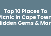 Top 10 Places To Picnic In Cape Town: Hidden Gems & More